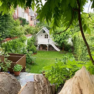 Calm, & Birdsong Near The Center Brussel